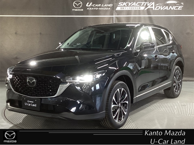 新着中古車