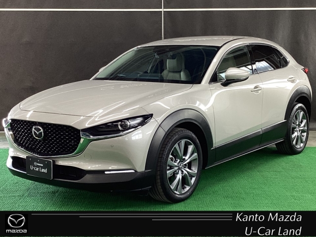 CX-30 2.0 20S プロアクティブ ツーリングセレクション 4WD