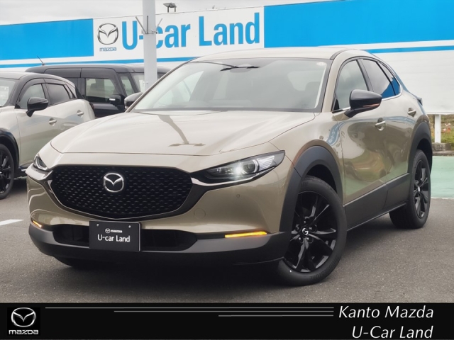 新着中古車
