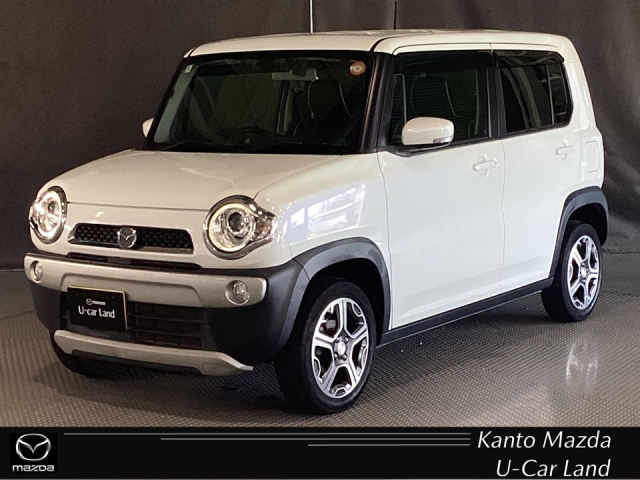 フレアクロスオーバー 660 XT 4WD