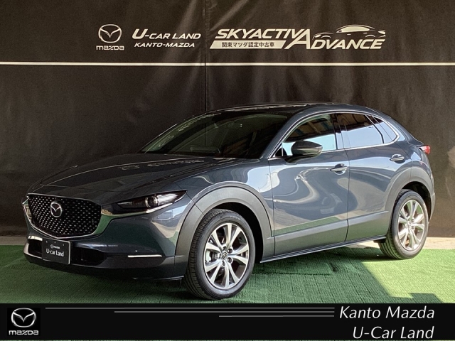 CX-30 20S プロアクティブ ツーリングセレクション 2WD