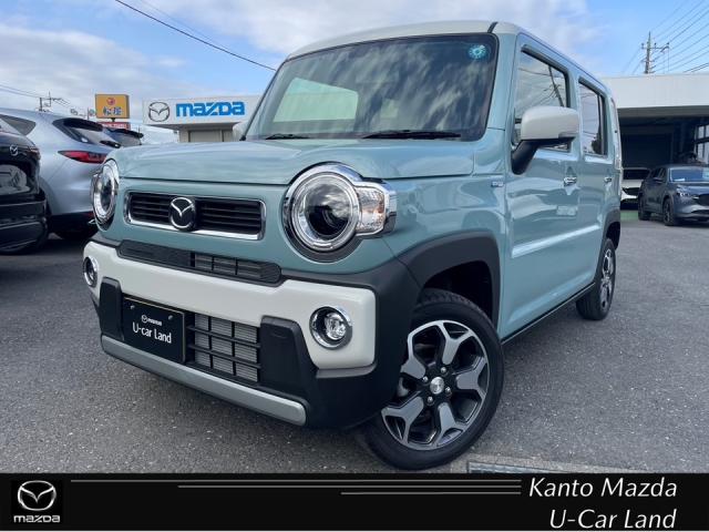 フレアクロスオーバー 660 XS