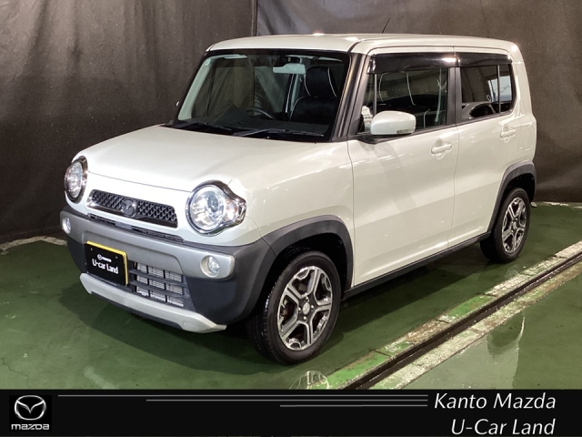 フレアクロスオーバー 660 XT 4WD