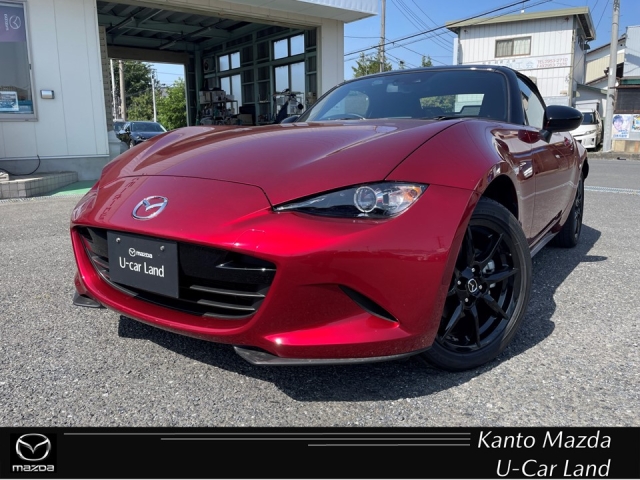 新着中古車