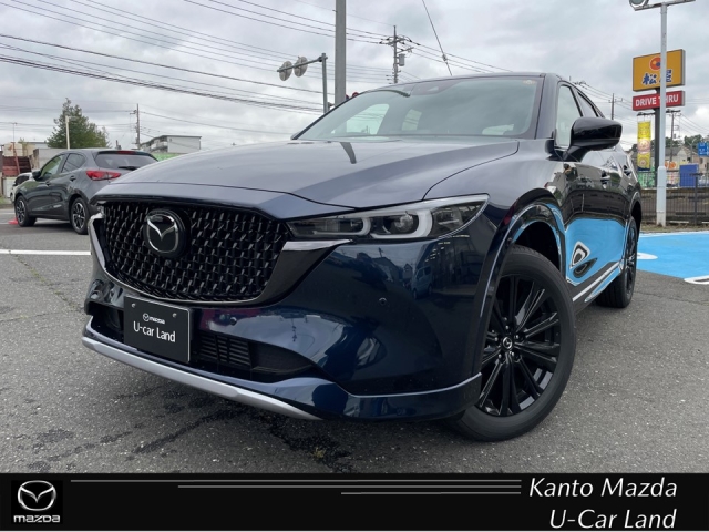 新着中古車