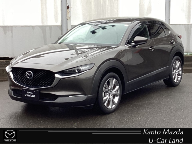 新着中古車