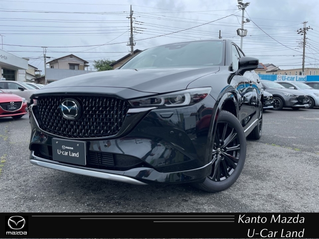 新着中古車