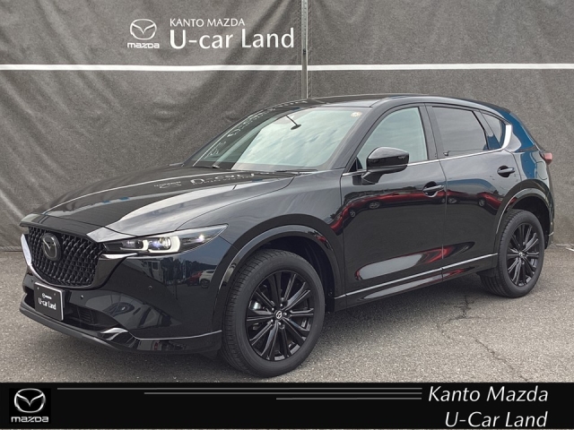 新着中古車
