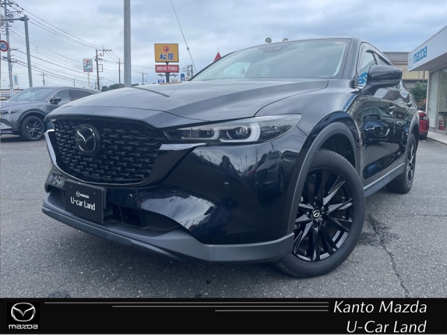 新着中古車