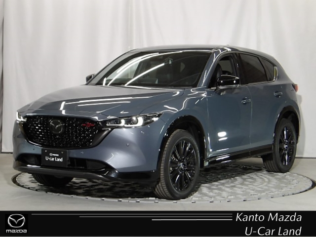 新着中古車