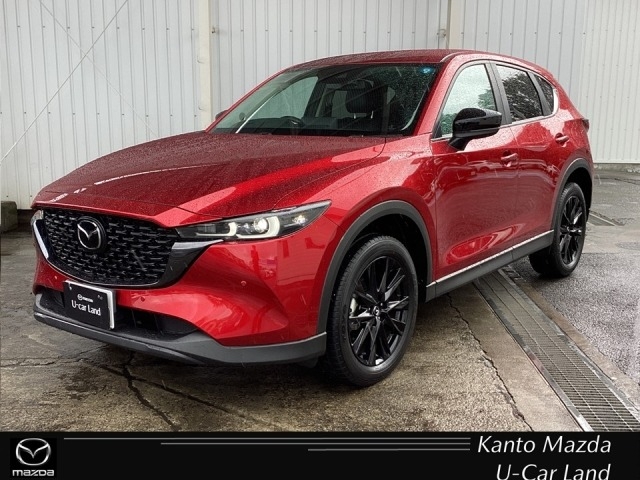 新着中古車
