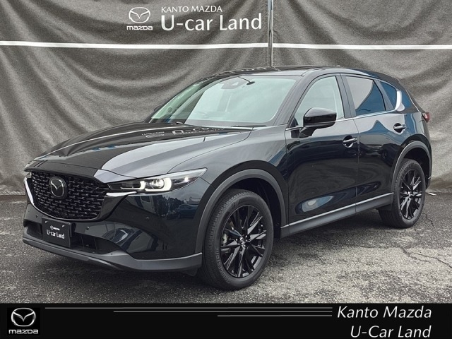 新着中古車
