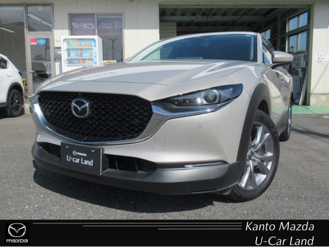 新着中古車