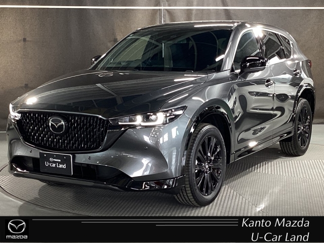 新着中古車