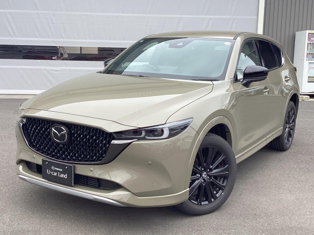 新着中古車