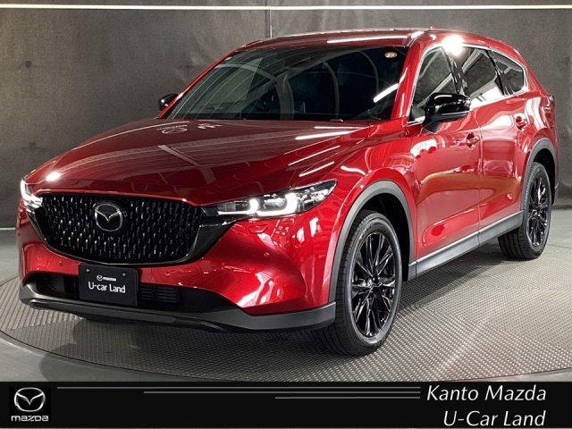 新着中古車