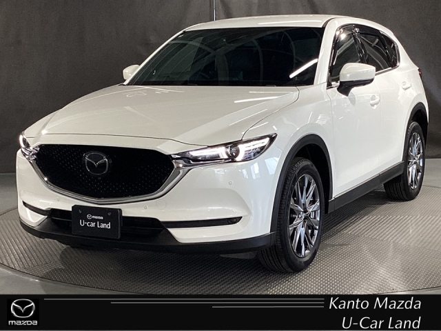 新着中古車