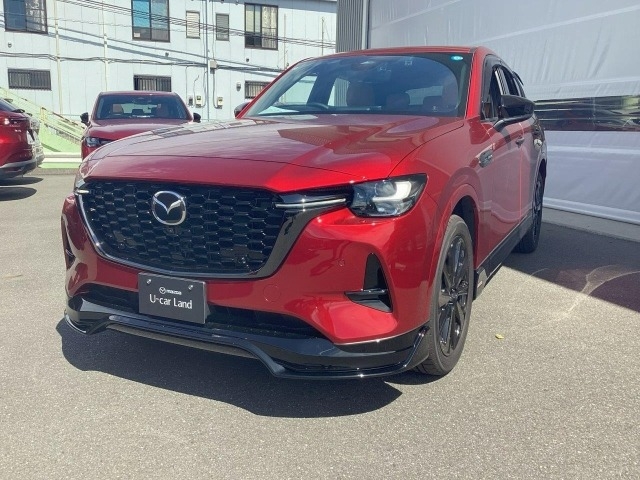 新着中古車