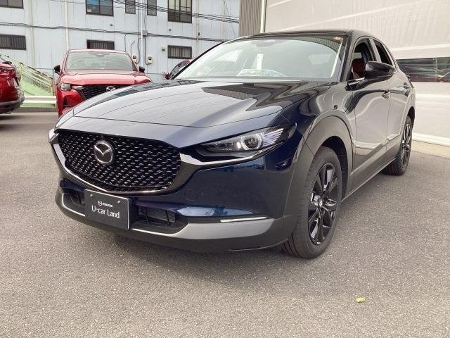 新着中古車