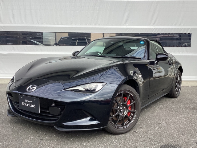 新着中古車