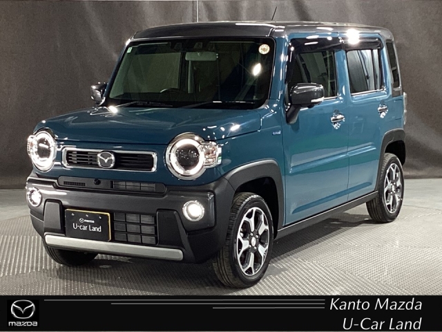 フレアクロスオーバー 660 XS