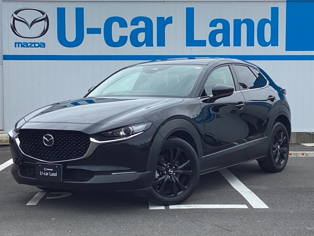 新着中古車