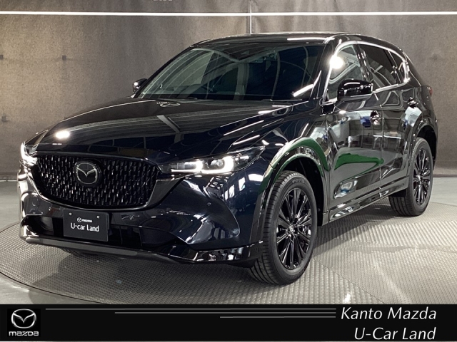 新着中古車