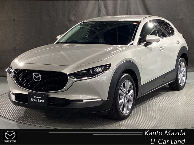 新着中古車