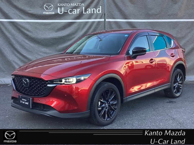 新着中古車