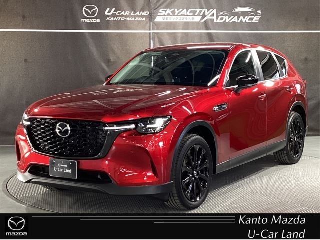 新着中古車