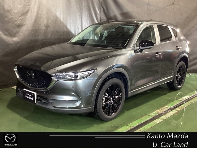 新着中古車
