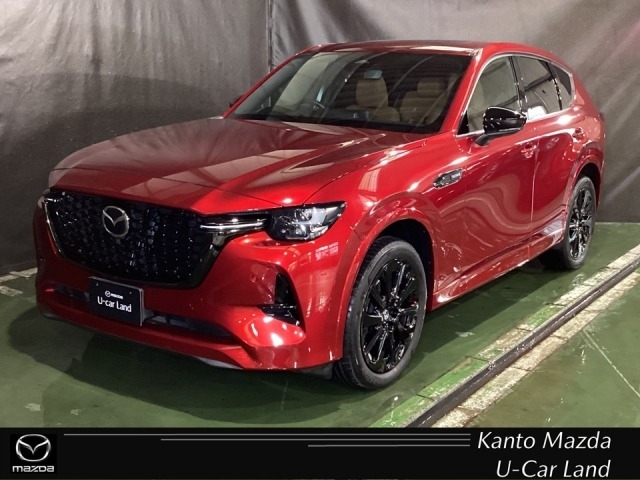 新着中古車