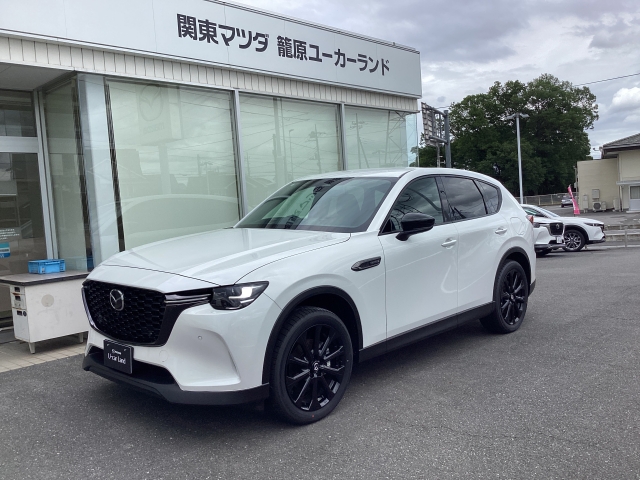 新着中古車
