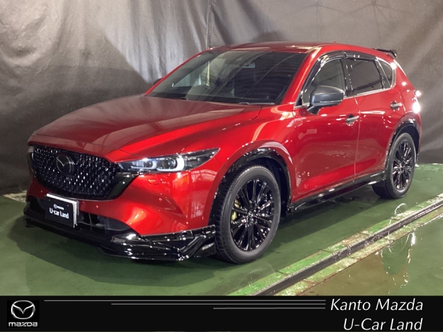 新着中古車