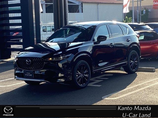 新着中古車