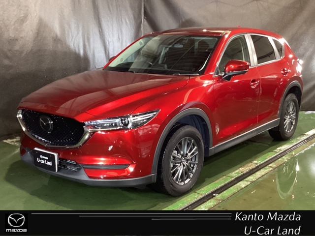 新着中古車