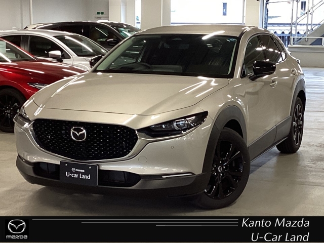 CX-30 20S ブラック セレクション