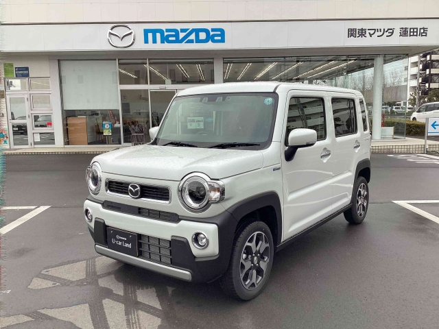 フレアクロスオーバー 660 XS