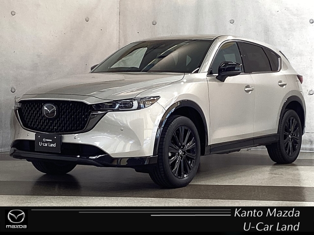 新着中古車