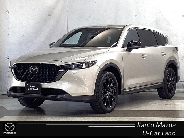 CX-8 2.5 25S ブラックトーン エディション 4WD