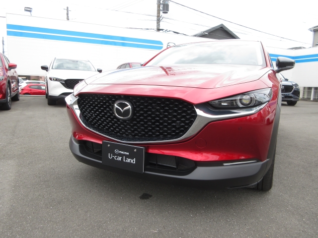 新着中古車