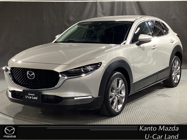 新着中古車