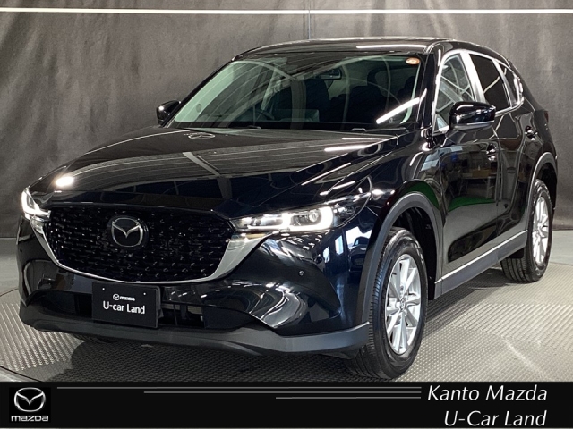 新着中古車