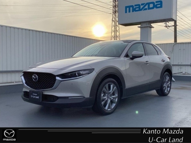 新着中古車