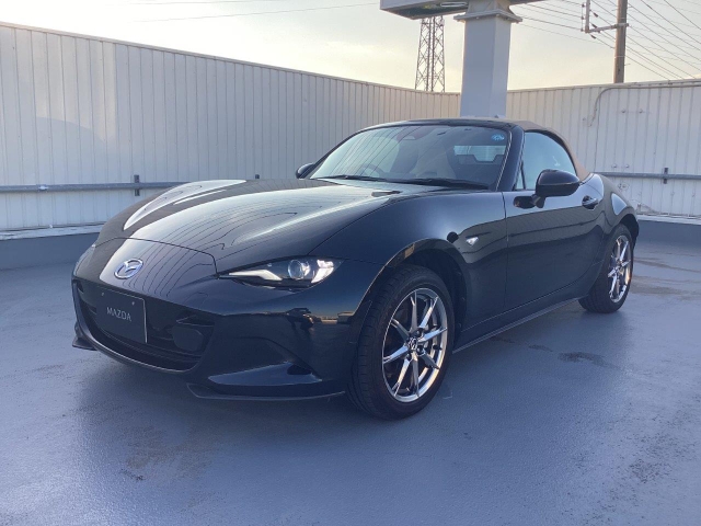 新着中古車