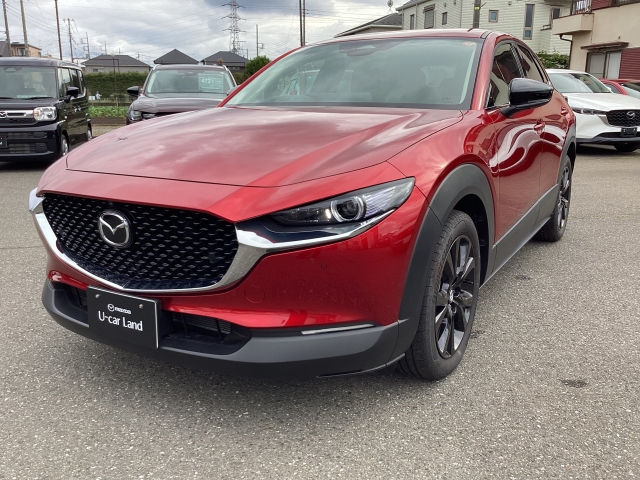 新着中古車