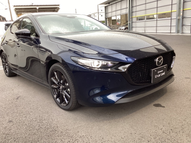 新着中古車