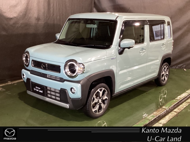 フレアクロスオーバー 660 ハイブリッド XS