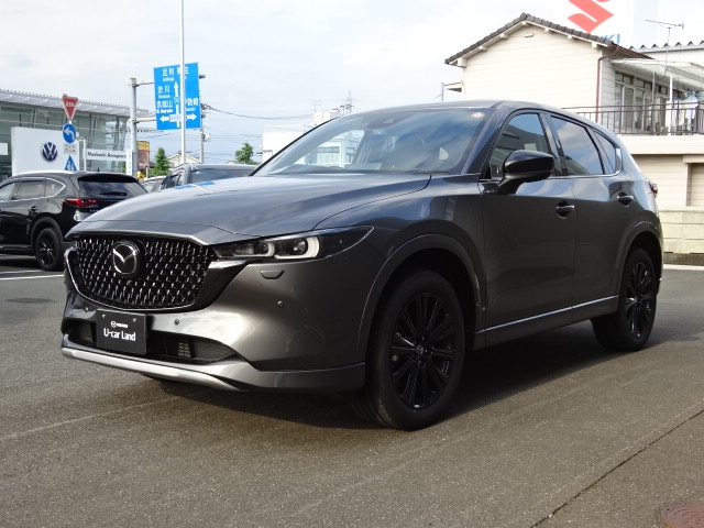 新着中古車