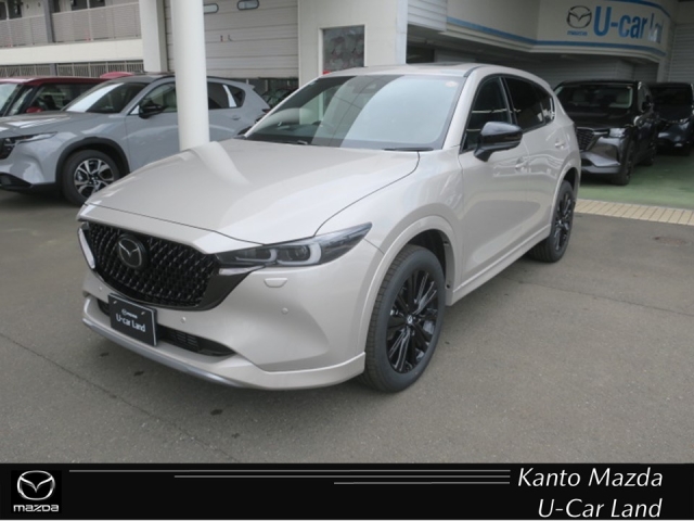 新着中古車